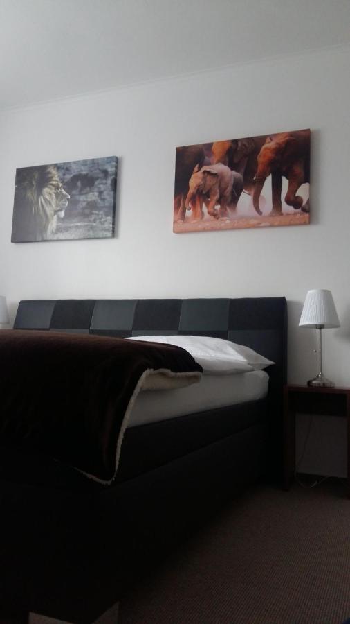 Studia Letcu 2A Apartman Alamóc Kültér fotó