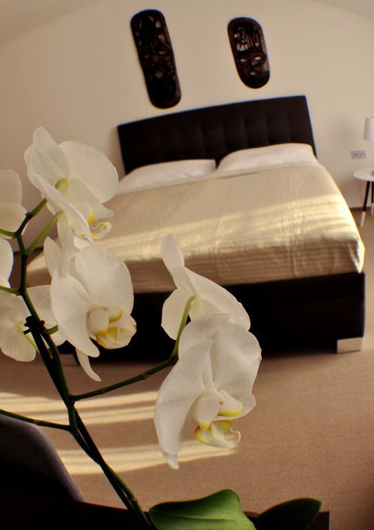 Studia Letcu 2A Apartman Alamóc Kültér fotó
